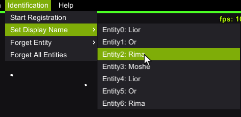 Choose Entity for Editing its Display Name